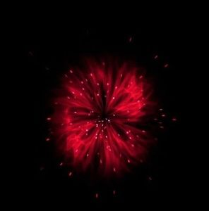 Meet your Posher, Rehana